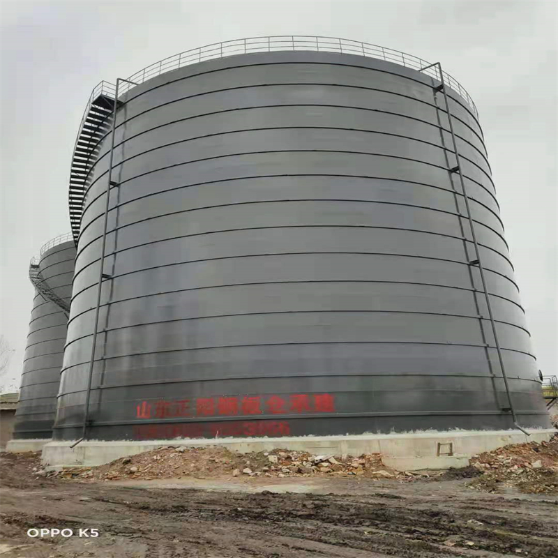 洪雅3万吨大型钢板库