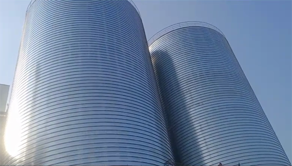 洪雅2座混凝土高架卷板仓